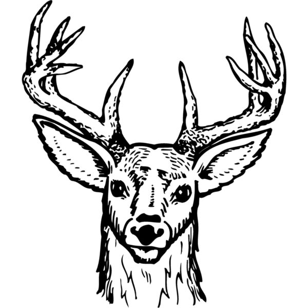 DEER012 Thumbnail